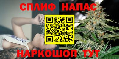 стафф Дубна