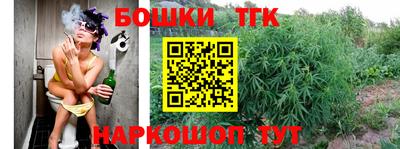 стафф Дубна